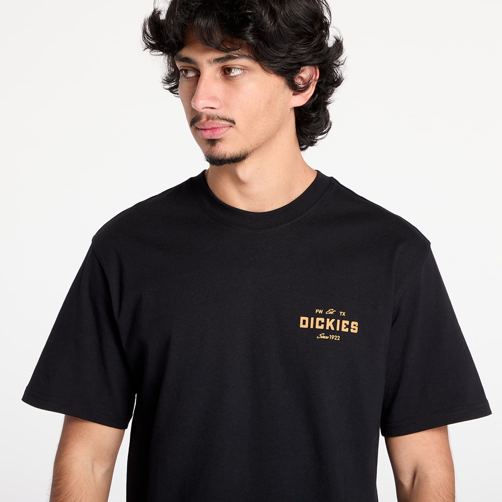 Футболка Dickies Emblem Short Sleeve Tee Black S