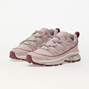 Men's shoes Salomon XT-6 Expanse Ltr Cloudg/ Lilaca/ Noct | Footshop
