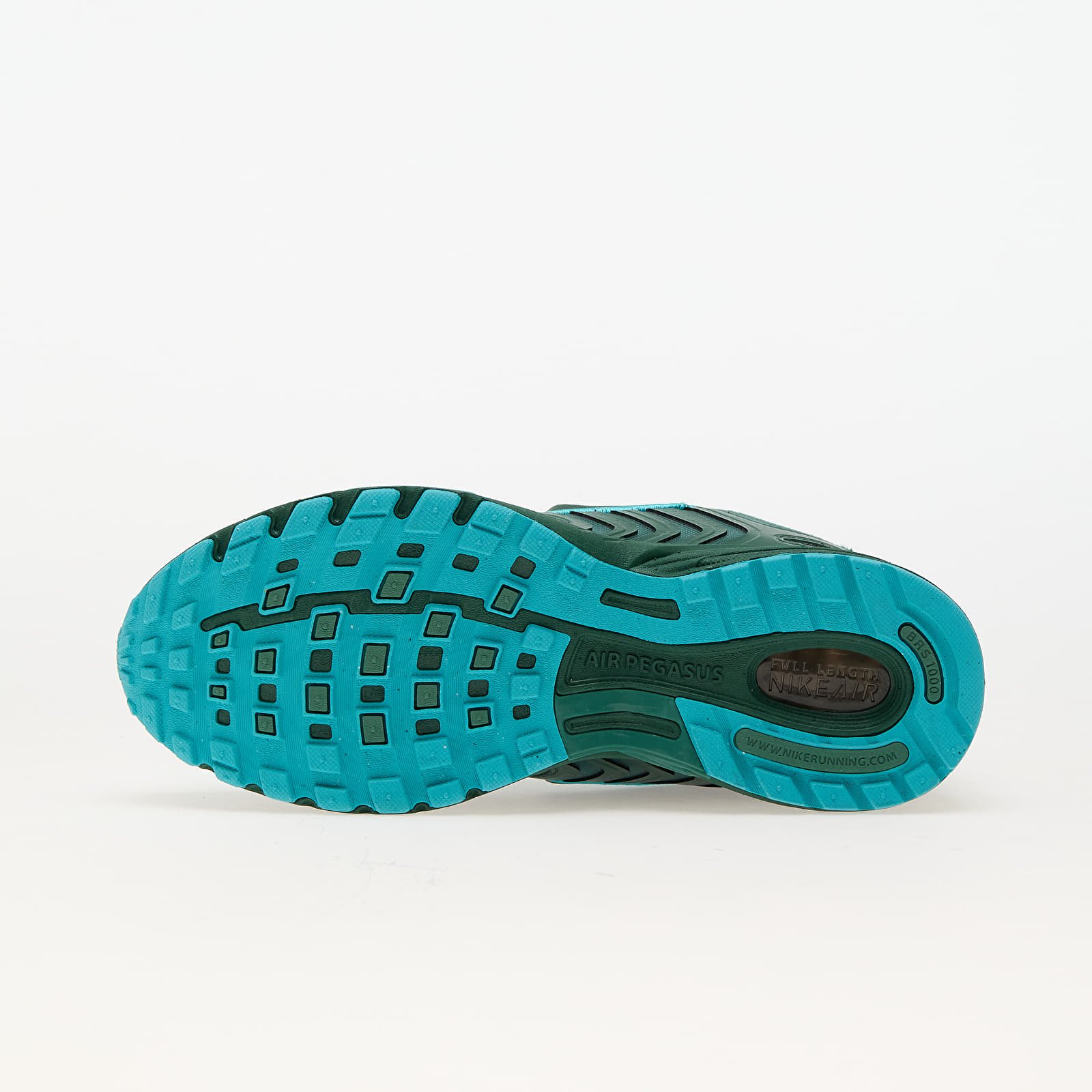 Pánské tenisky a boty Nike Air Pegasus 2005 Fir/ Fir-Bicoastal-Dusty Cactus