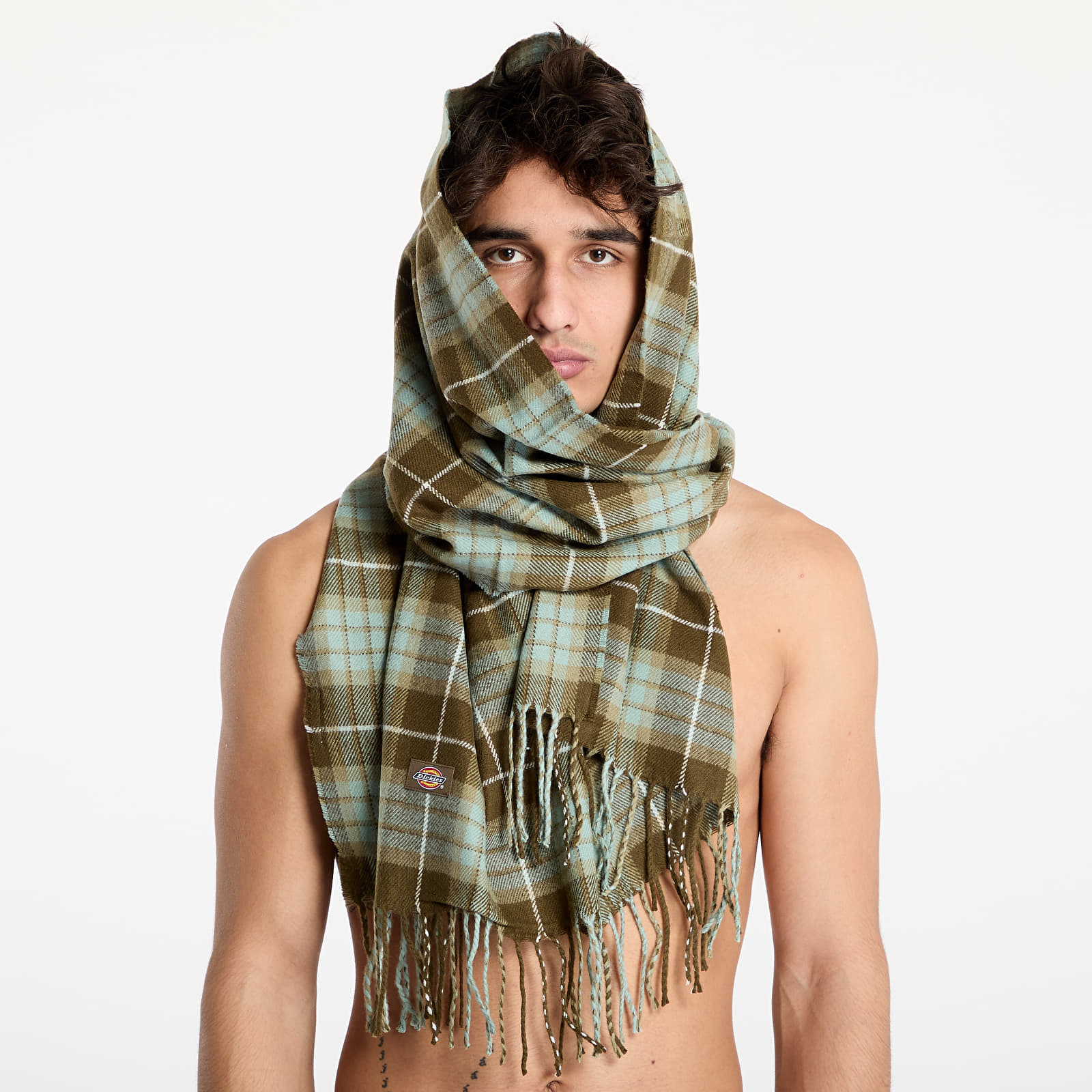 Schals Dickies Stevensville Scarf Green