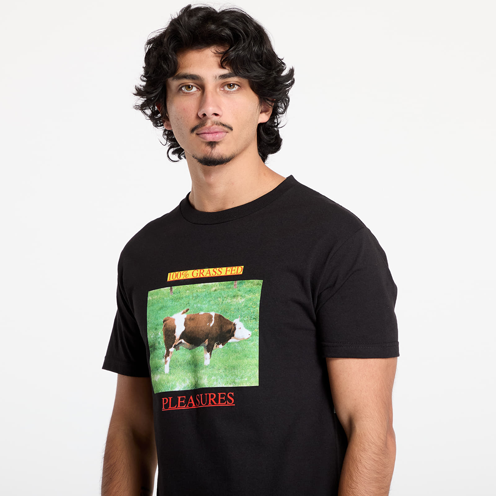 Pánská trička PLEASURES Grass Fed T-Shirt Black