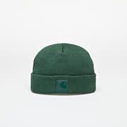 Carhartt WIP Dawson Beanie Sycamore Tree