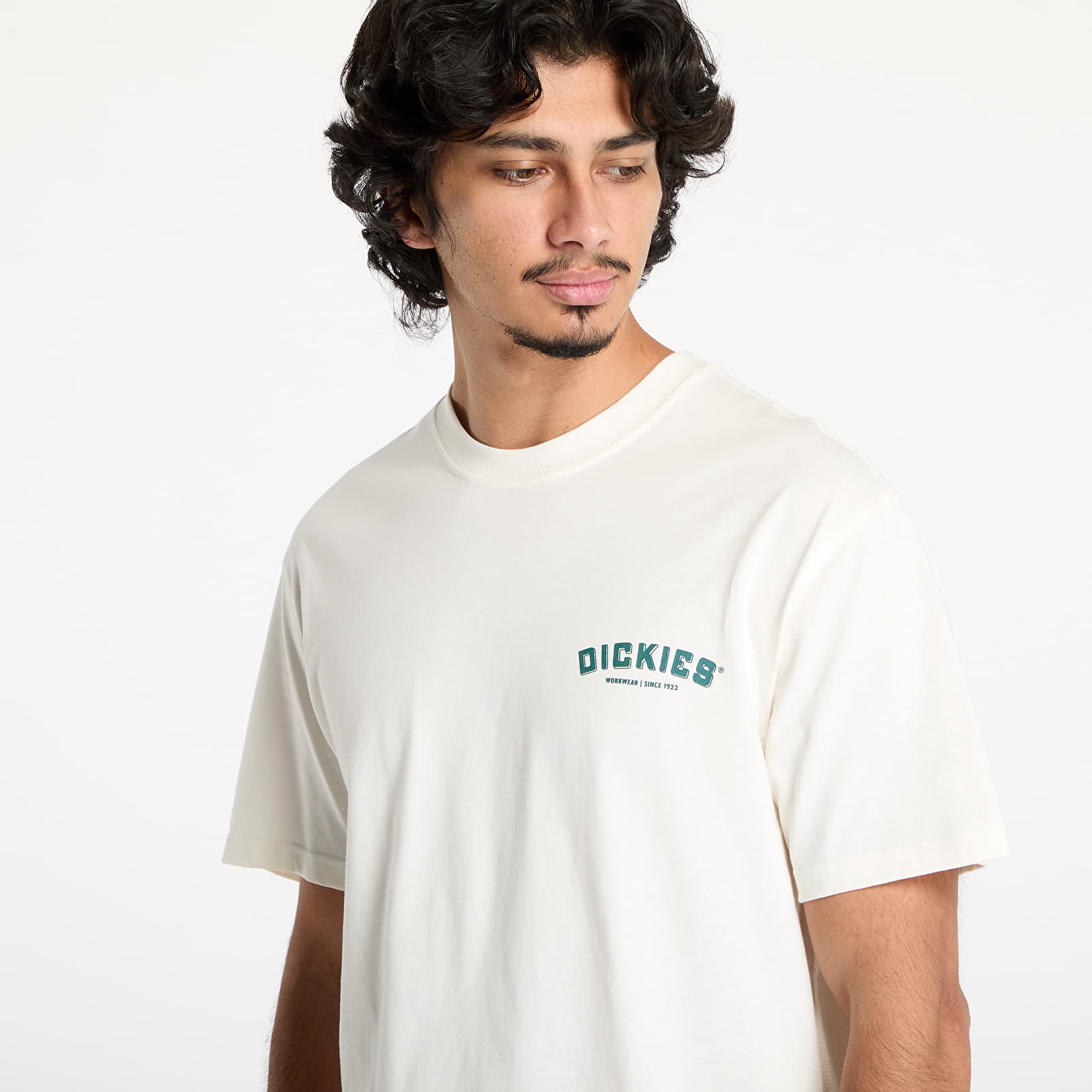 Trička Dickies Dickies Builder Short Sleeve Tee Cloud