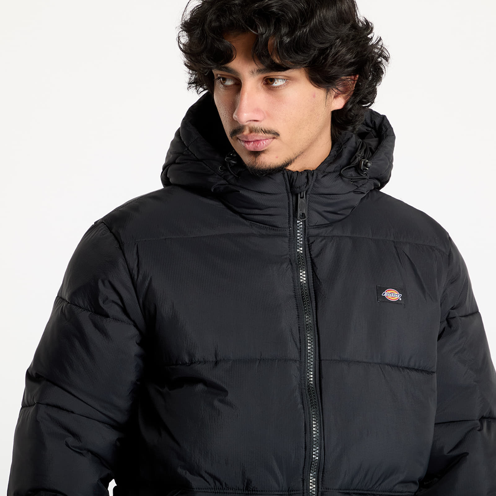 Куртка Dickies Waldenburg Hooded Jacket Black M