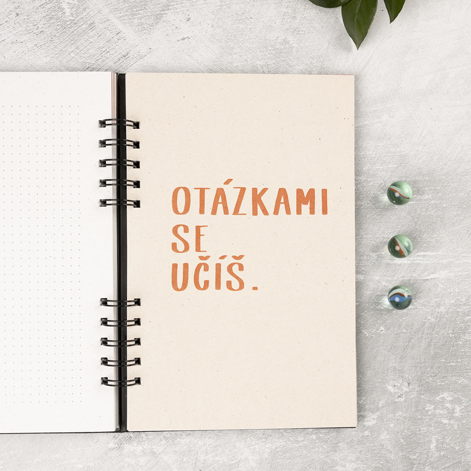 Ostatné doplnky Be Nice EKO Diář Baťa 365 SOBĚ 2025 - černý s bílým potiskem a to do list