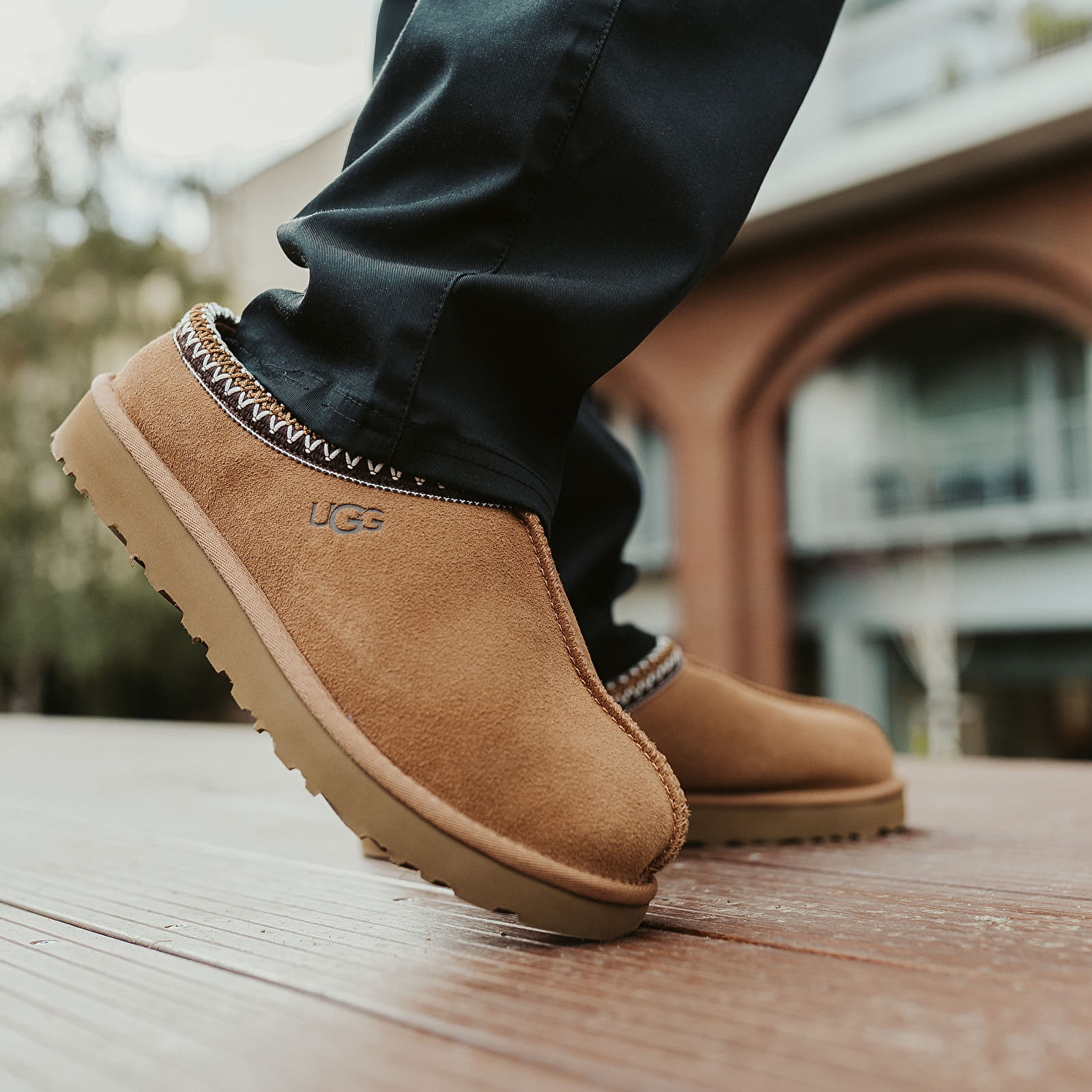 Pánské tenisky a boty UGG M Tasman Chesnut