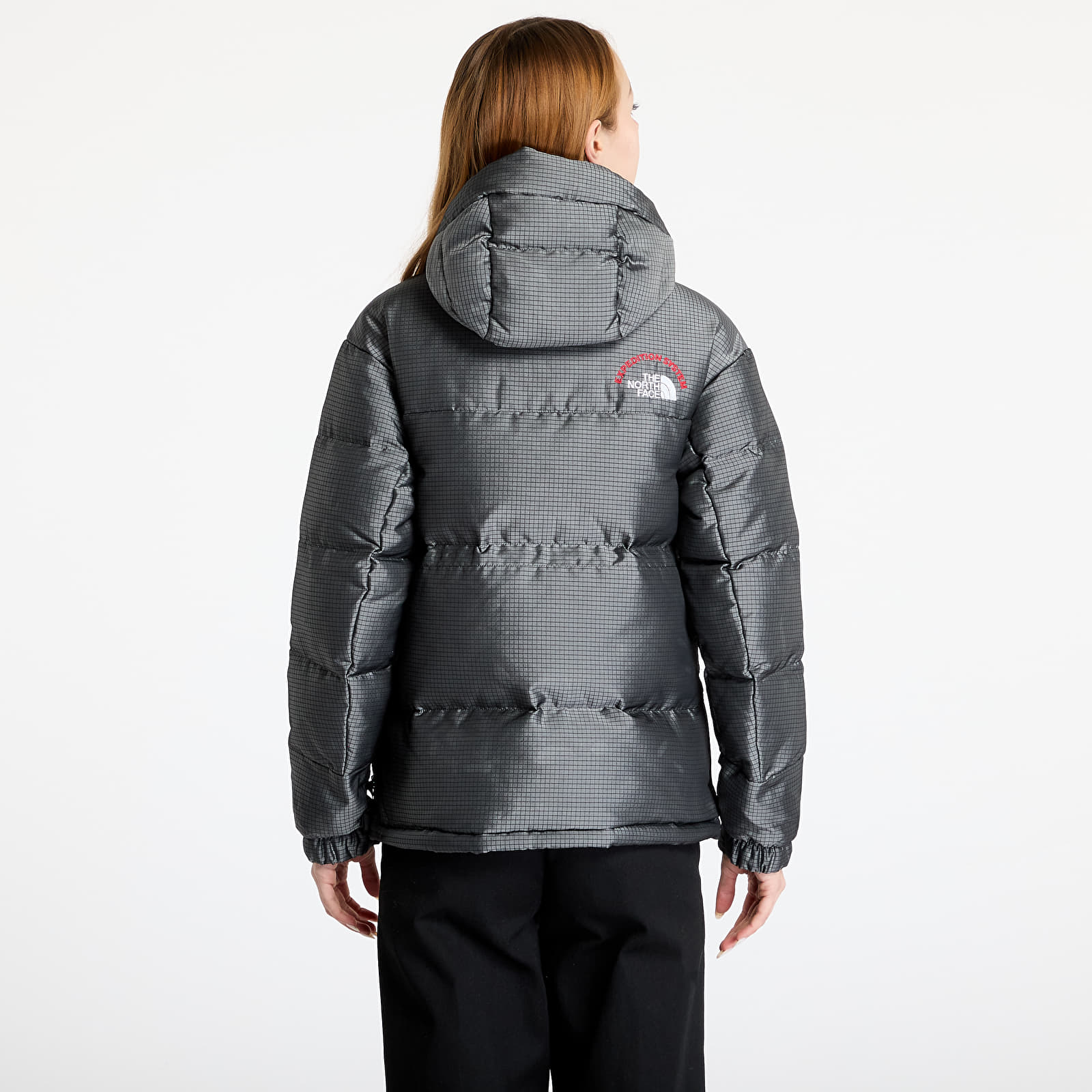 Donsjassen The North Face Himalayan 30Th Anniversary Parka Moonstone