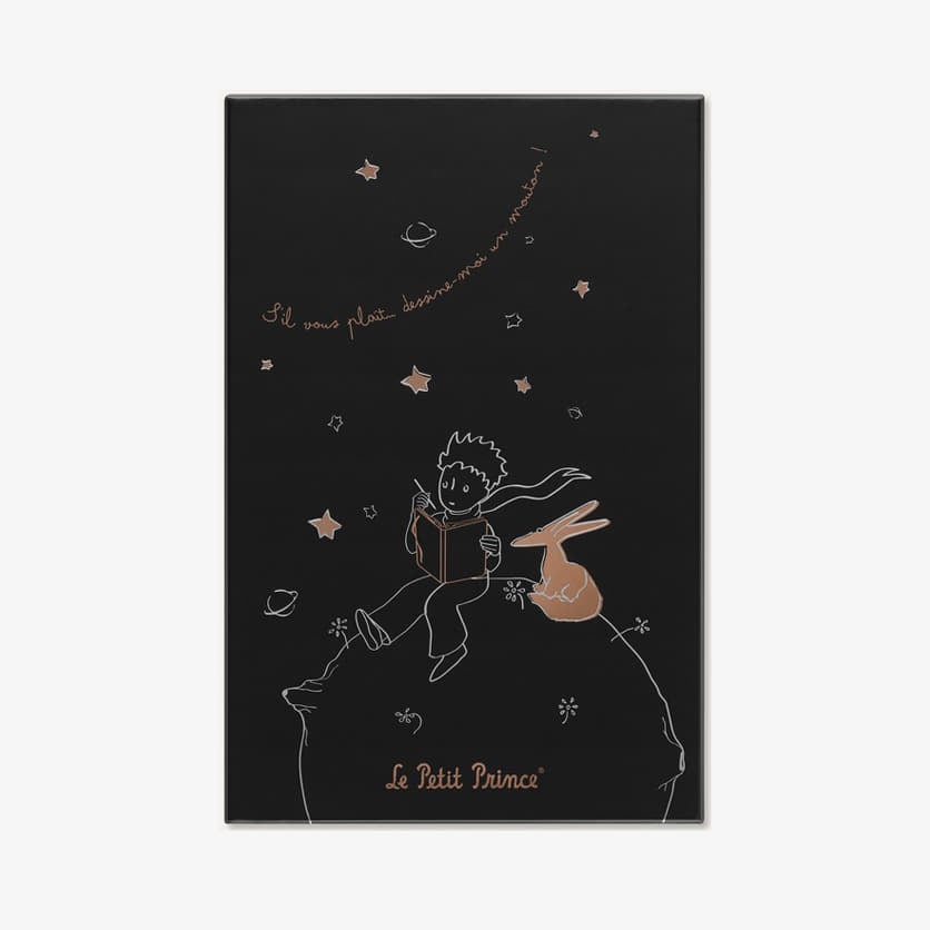 Diáře a zápisníky Moleskine Malý Princ Zápisník Linkovaný L V Dárkové Krabici Black