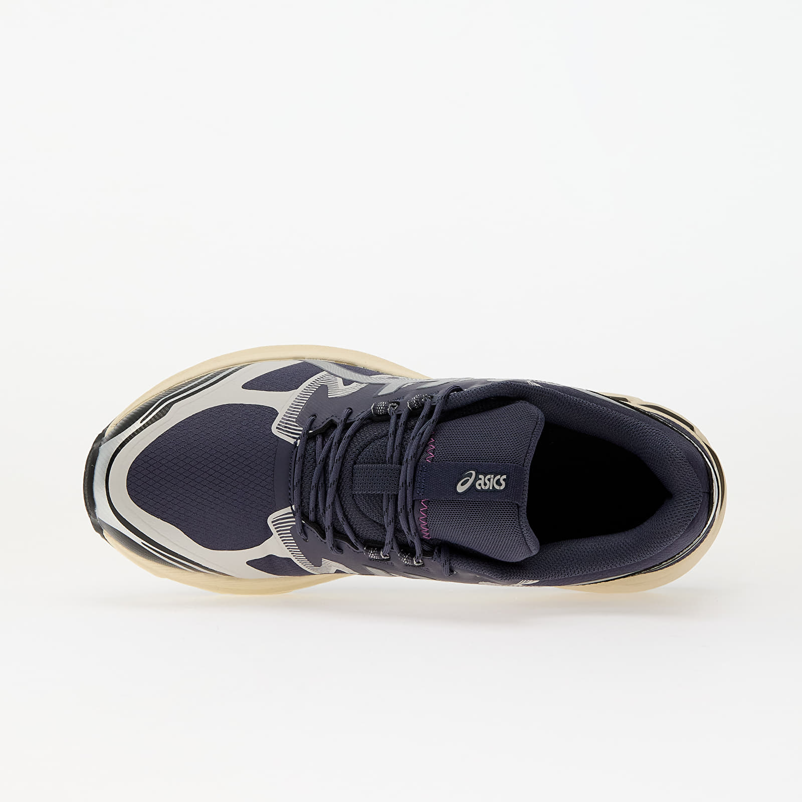 Vyriška avalynė Asics Gel-Terrain Indigo Fog/ Pure Silver