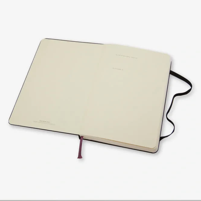 Denníky a zápisníky Moleskine Zápisník Tvrdý Čistý L Černý