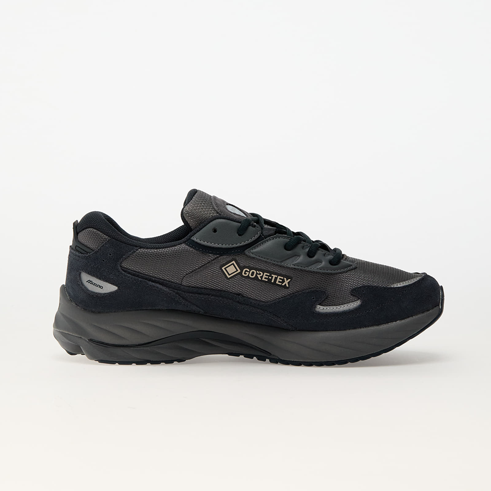 Men's shoes Mizuno Wave Rider Gtx Quiet Shade/ Vulcan/ Silver