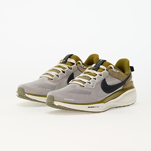 Nike Air Zoom Pegasus 41 Sp