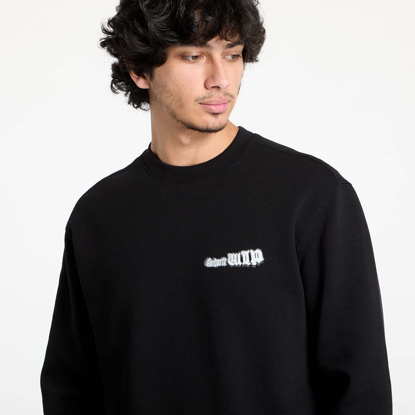Sweatjacken und Sweatshirts Carhartt WIP Greatest Flicks Sweatshirt UNISEX Black