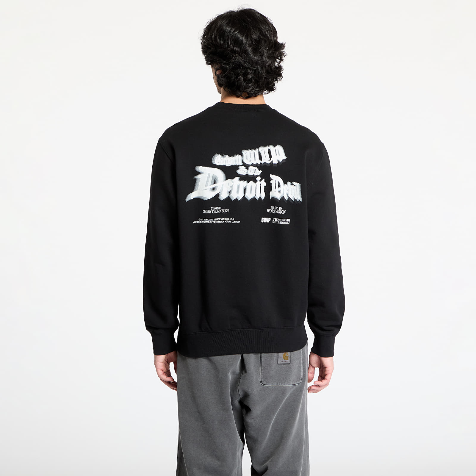 Sweatjacken und Sweatshirts Carhartt WIP Greatest Flicks Sweatshirt UNISEX Black