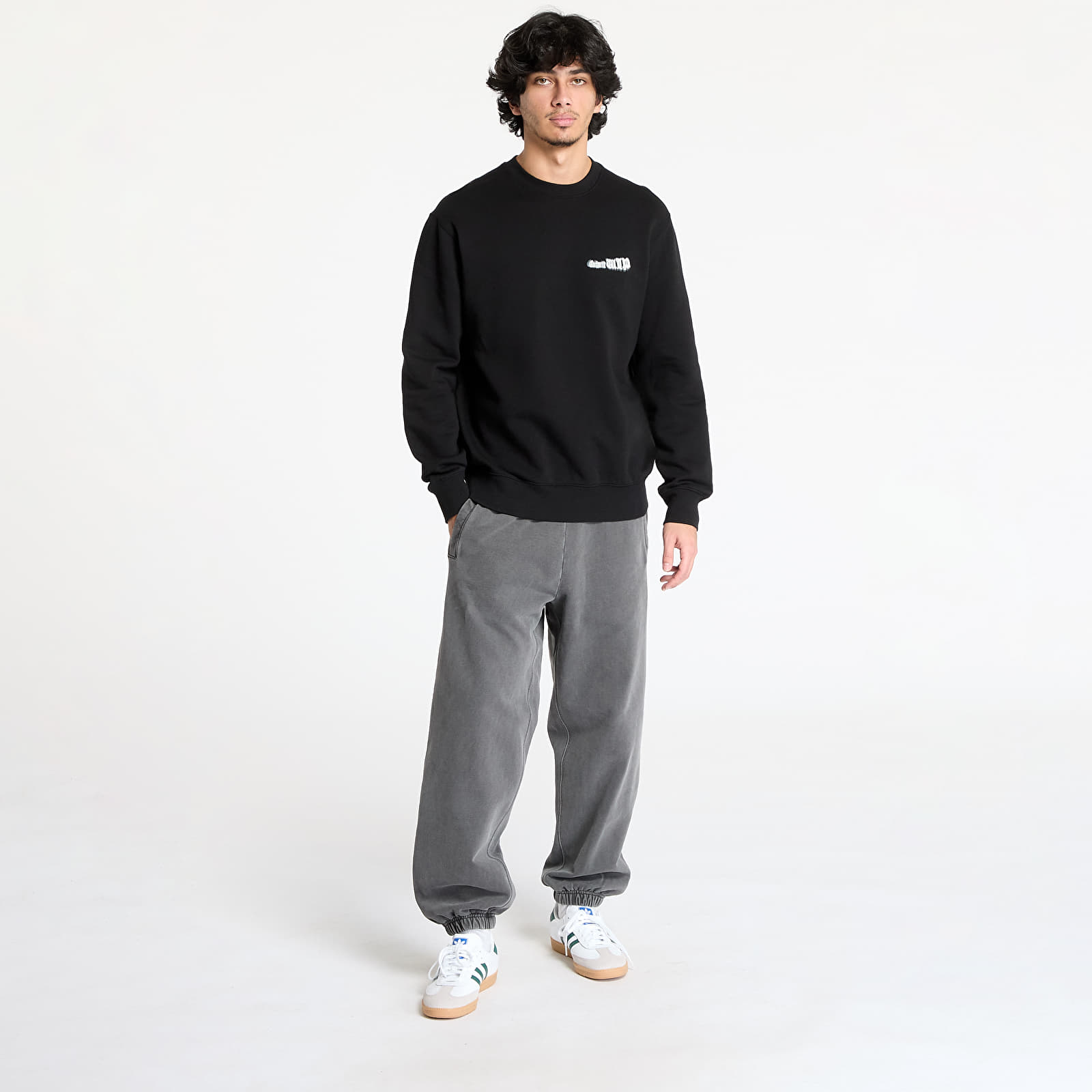 Sweatjacken und Sweatshirts Carhartt WIP Greatest Flicks Sweatshirt UNISEX Black