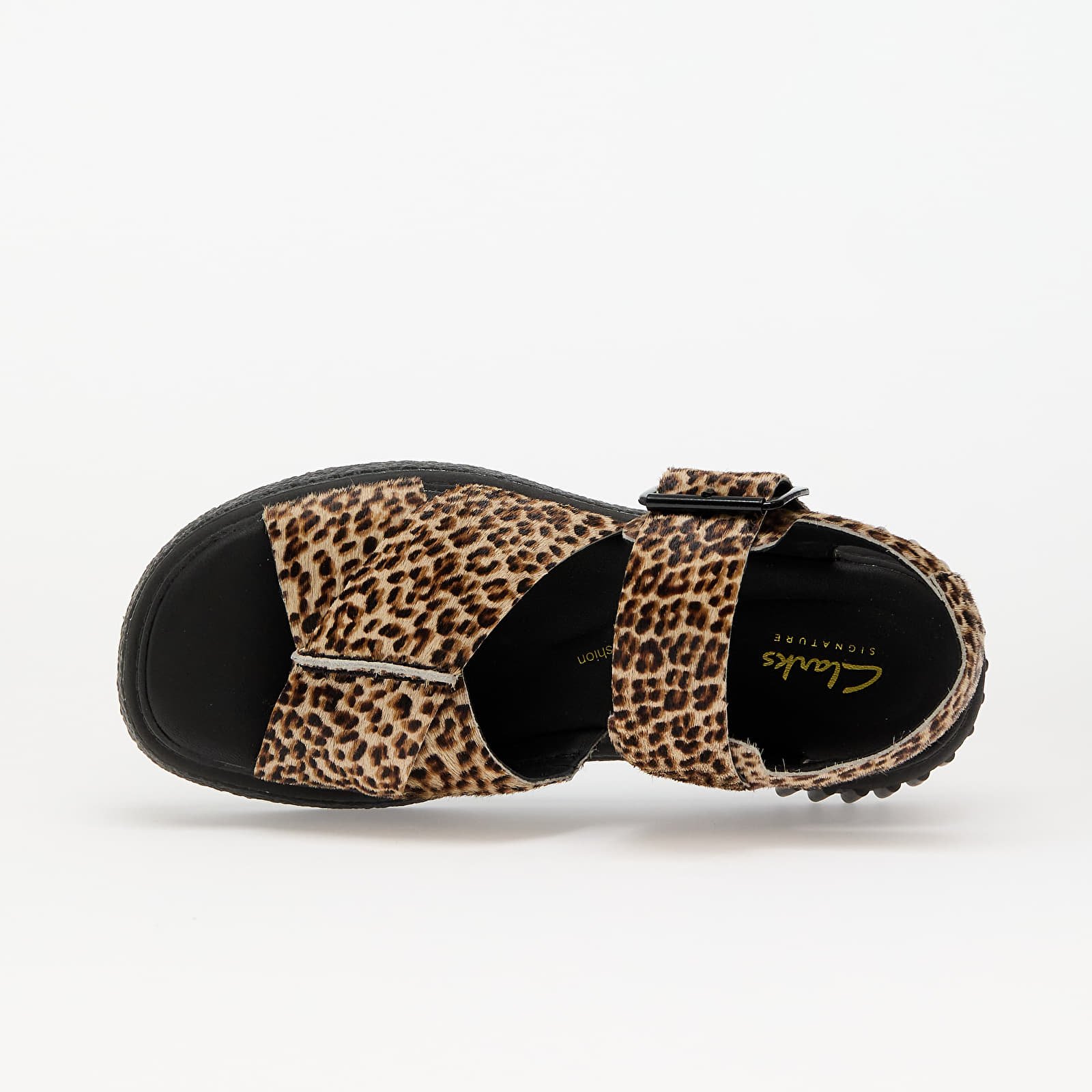 Women's shoes Clarks Originals Evamar Wish Leopard Print