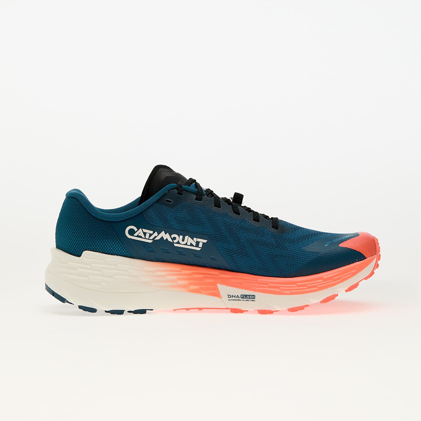 Buty męskie Brooks Catamount 4 M Blue