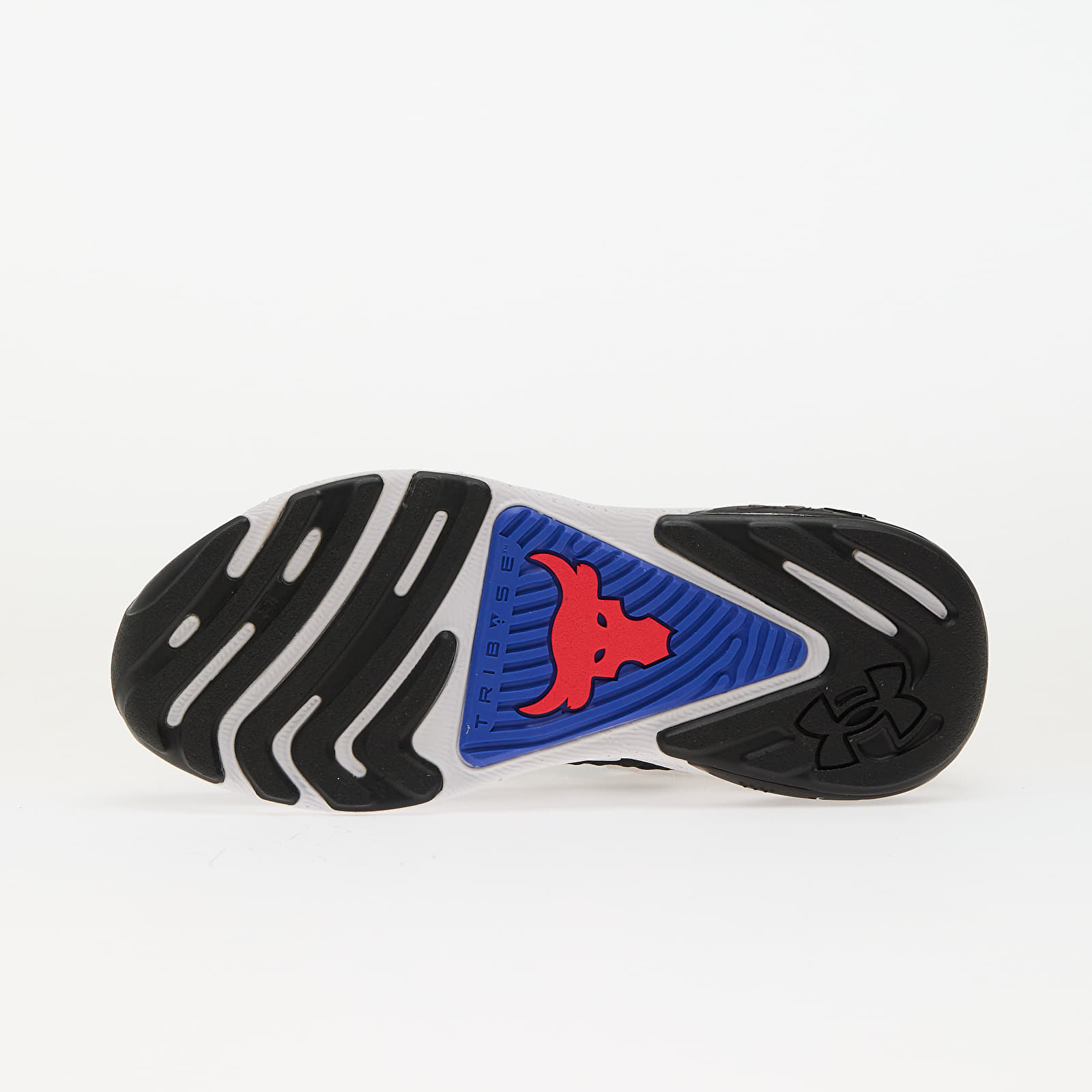 Männer Under Armour Project Rock 7 Black