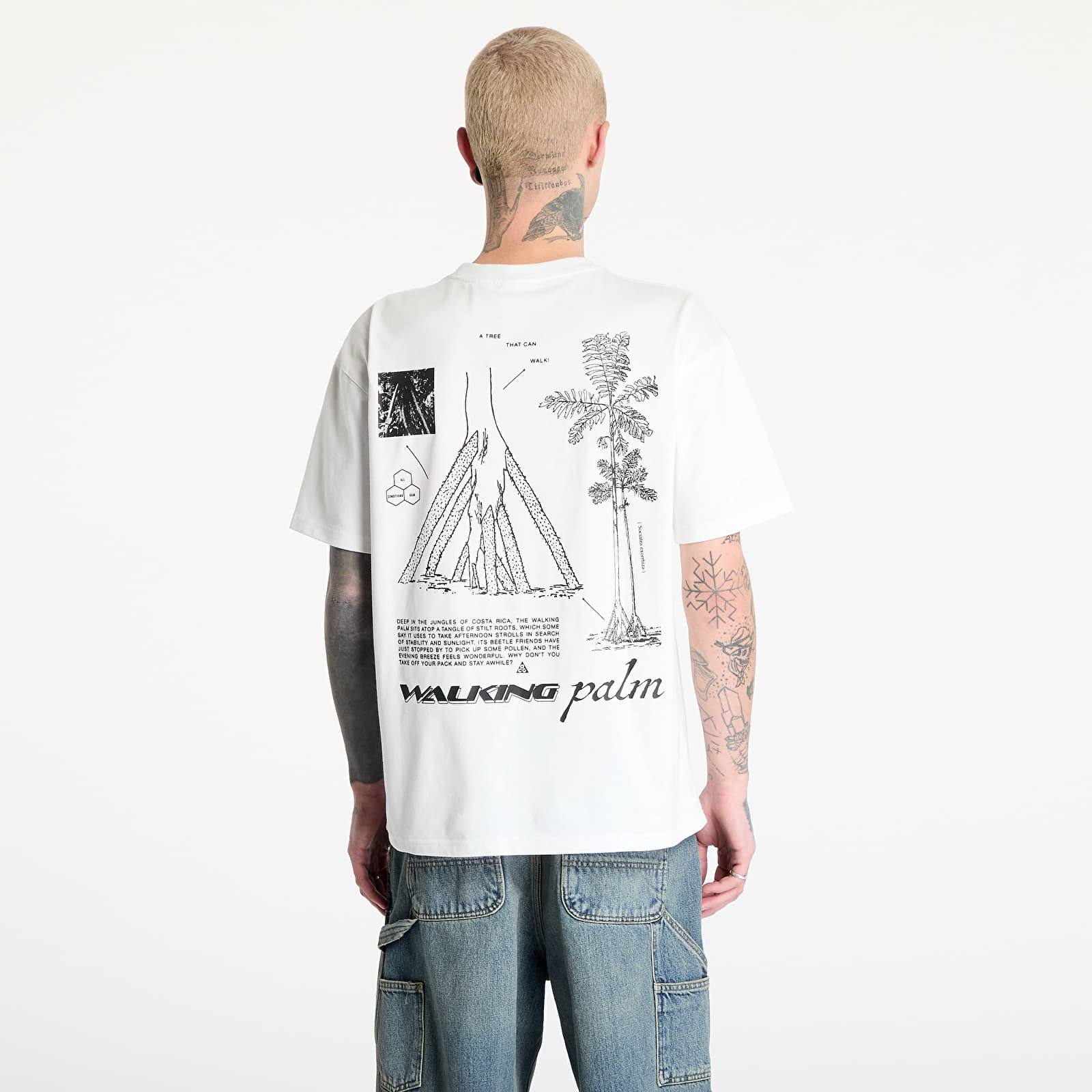 Pánská trička Nike ACG "Walking Tree" Men's Dri-FIT T-Shirt Summit White