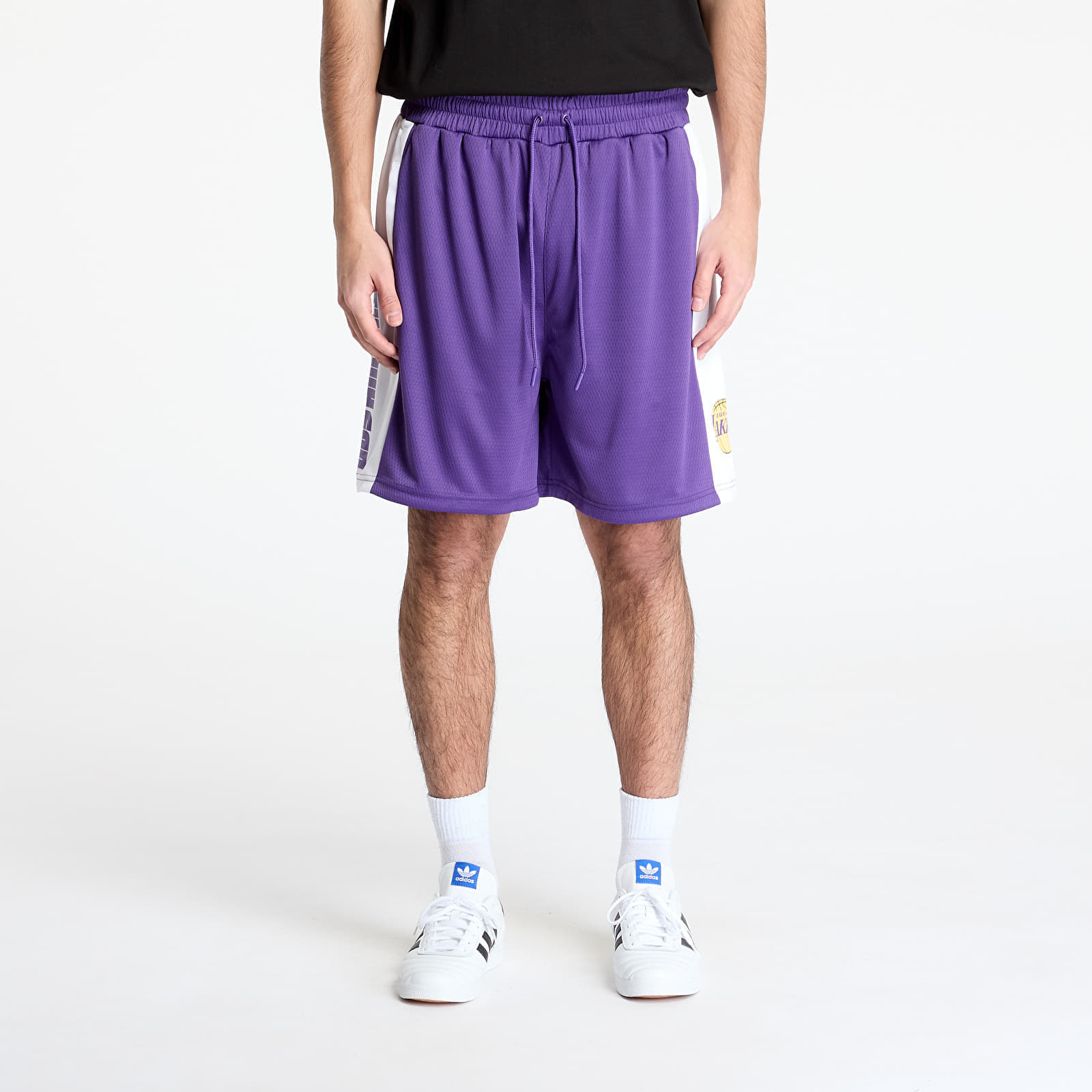 New Era Los Angeles Lakers NBA Graphic Mesh Shorts True Purple L