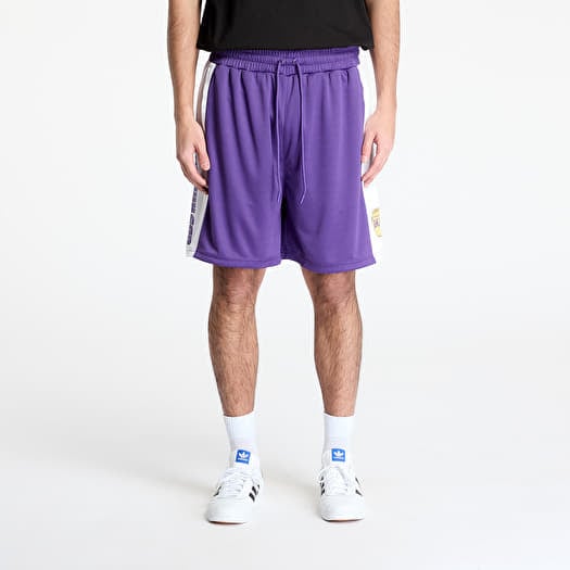 New Era Los Angeles Lakers NBA Graphic Mesh Shorts True Purple