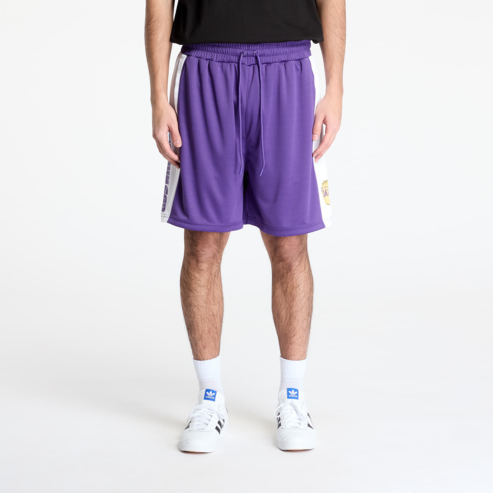 Чоловічі шорти New Era Los Angeles Lakers NBA Graphic Mesh Shorts True Purple