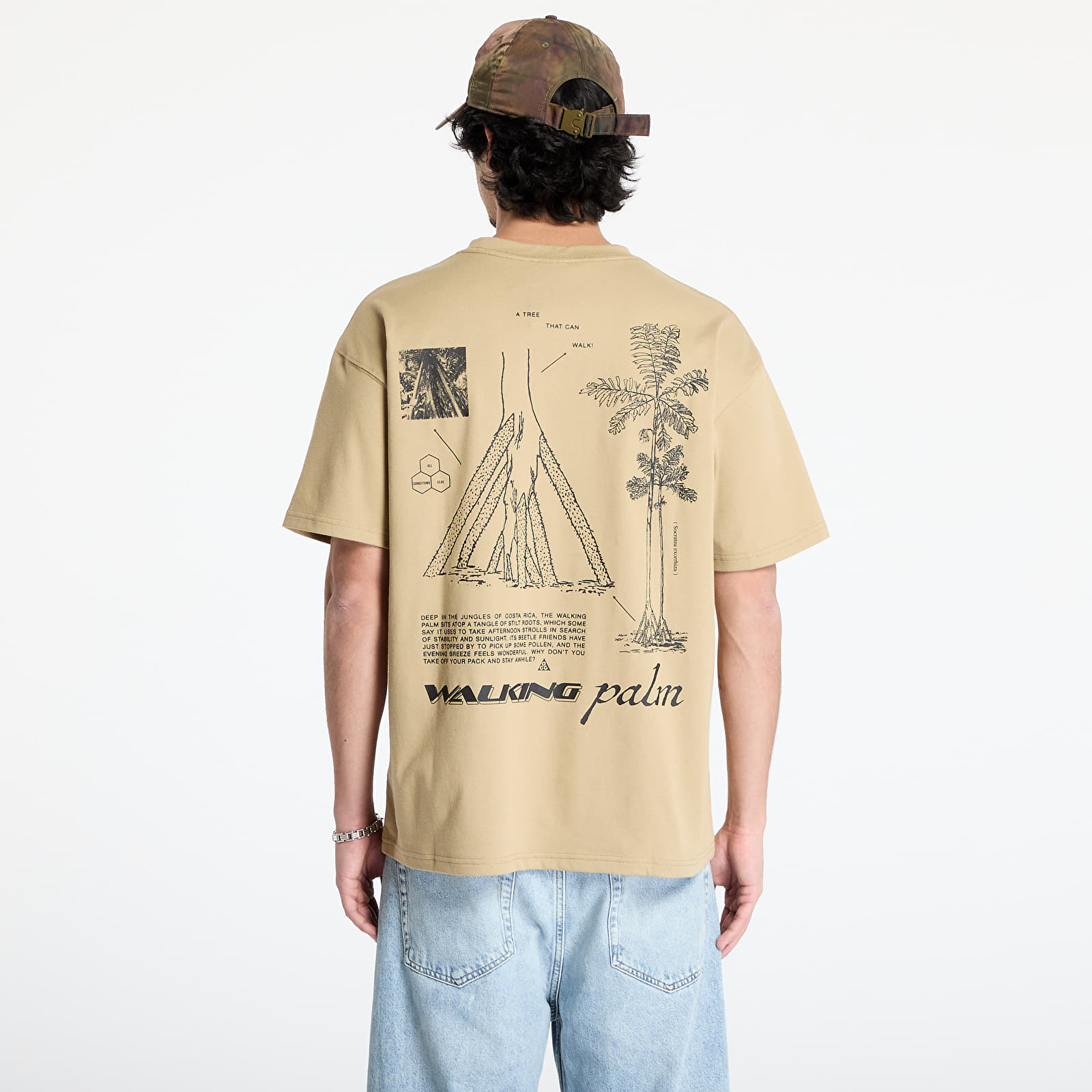 Trička Nike ACG "Walking Tree" Men's Dri-FIT T-Shirt Parachute Beige