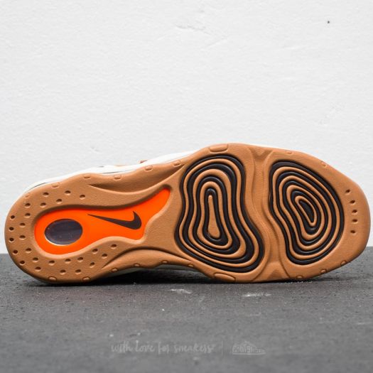 Nike Air Pippen