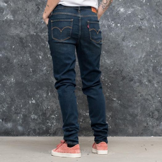 Amnesia levis 2025