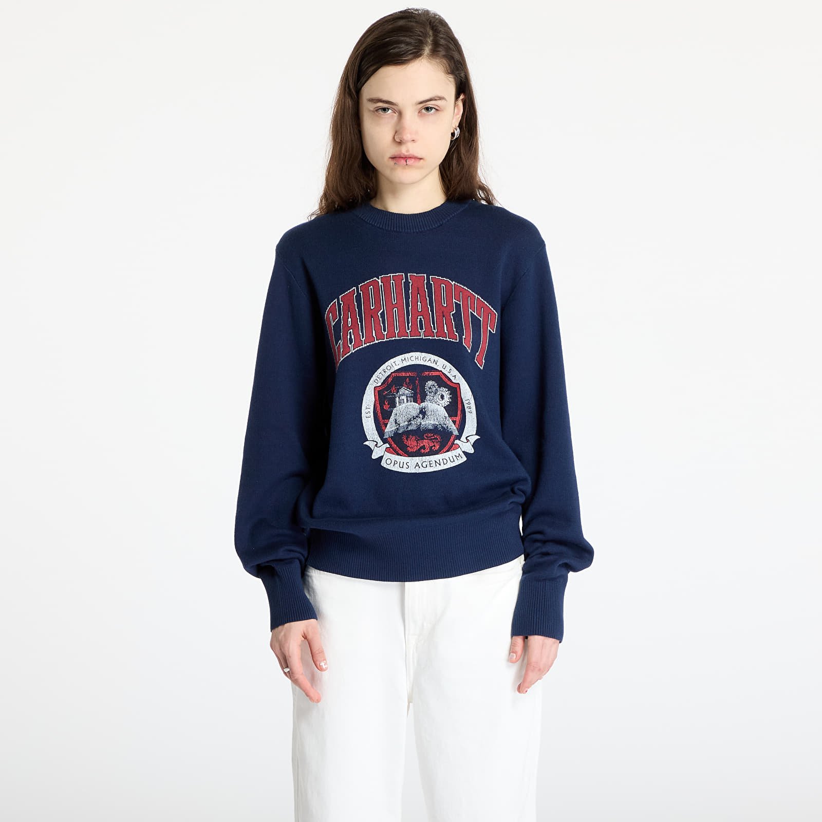 Svetry Carhartt WIP Library College Sweater UNISEX Ink