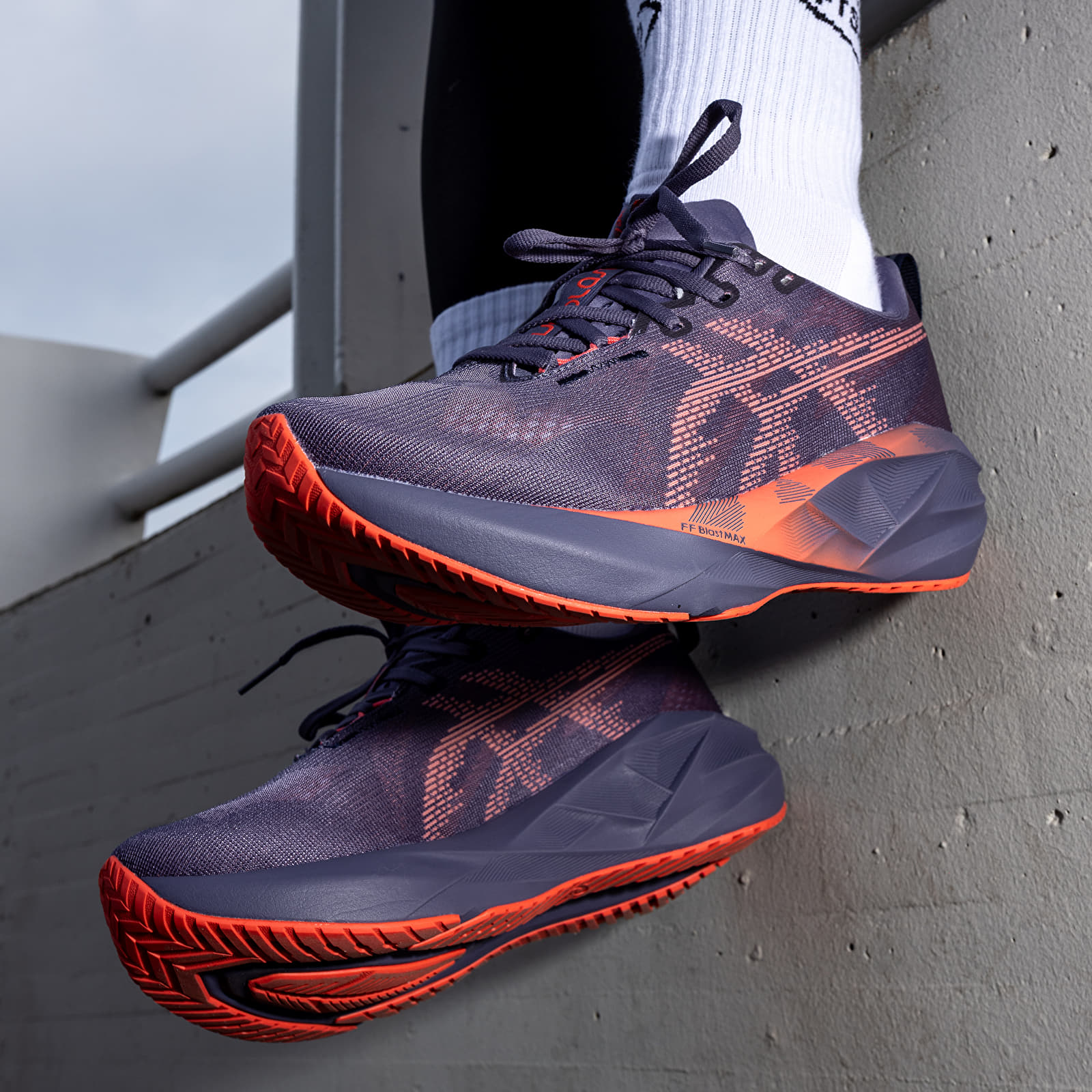 Women's shoes Asics Novablast 5 Greyish Purple/ Coral Reef
