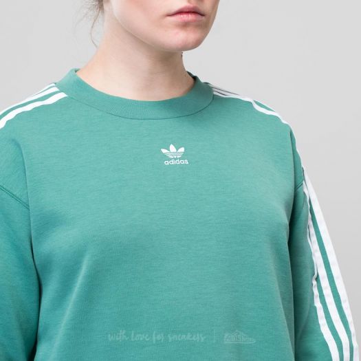 Adidas future sales hydro hoodie