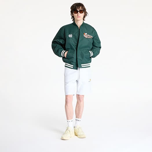 ★ドイツ発*carhartt WIP*新作*Flaming Ducks フーディ/CONIFER Carhartt WIP Hooded Flaming Ducks Sweatshirt, Conifer