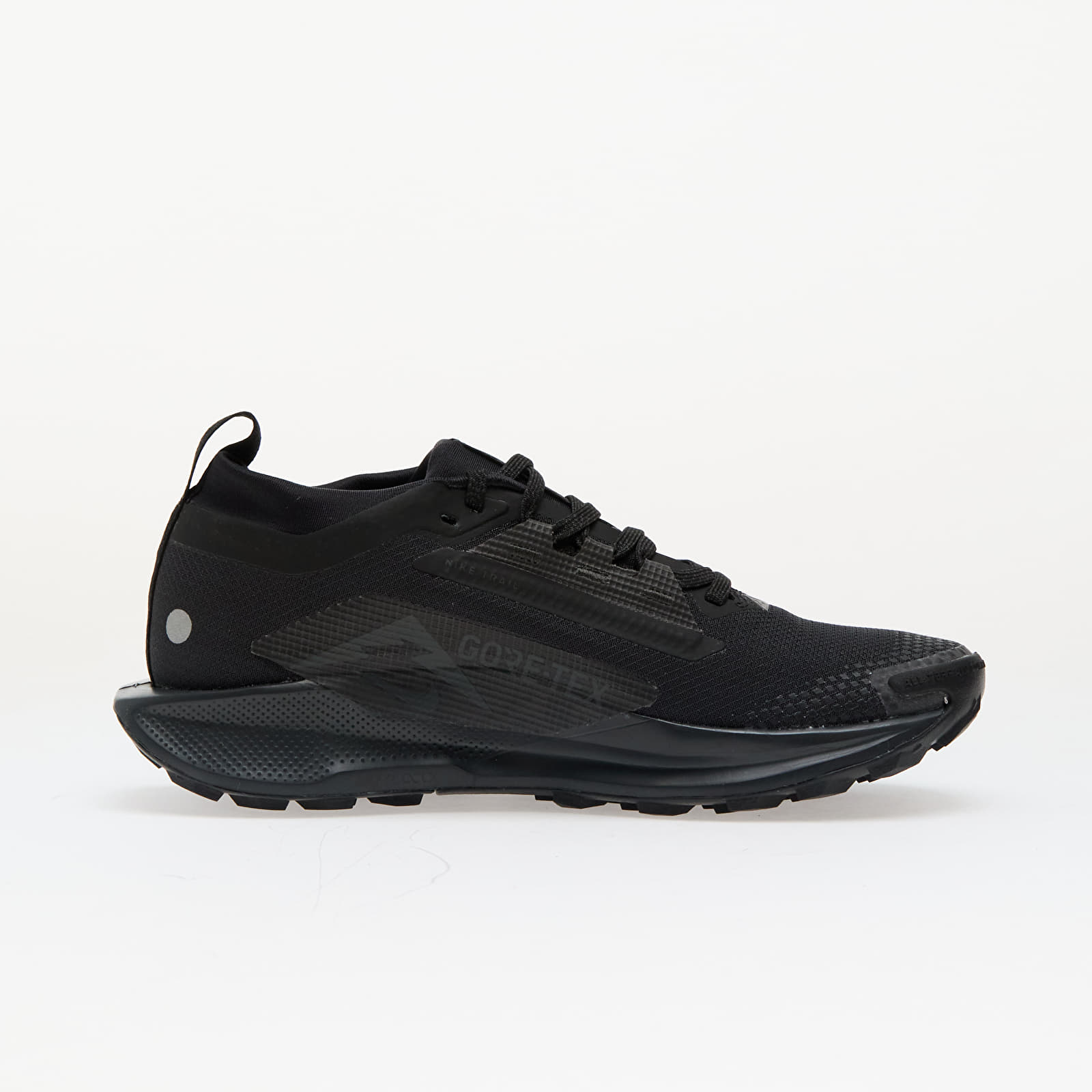 Women's shoes Nike W Pegasus Trail 5 Gore-Tex Black/ Black-Anthracite