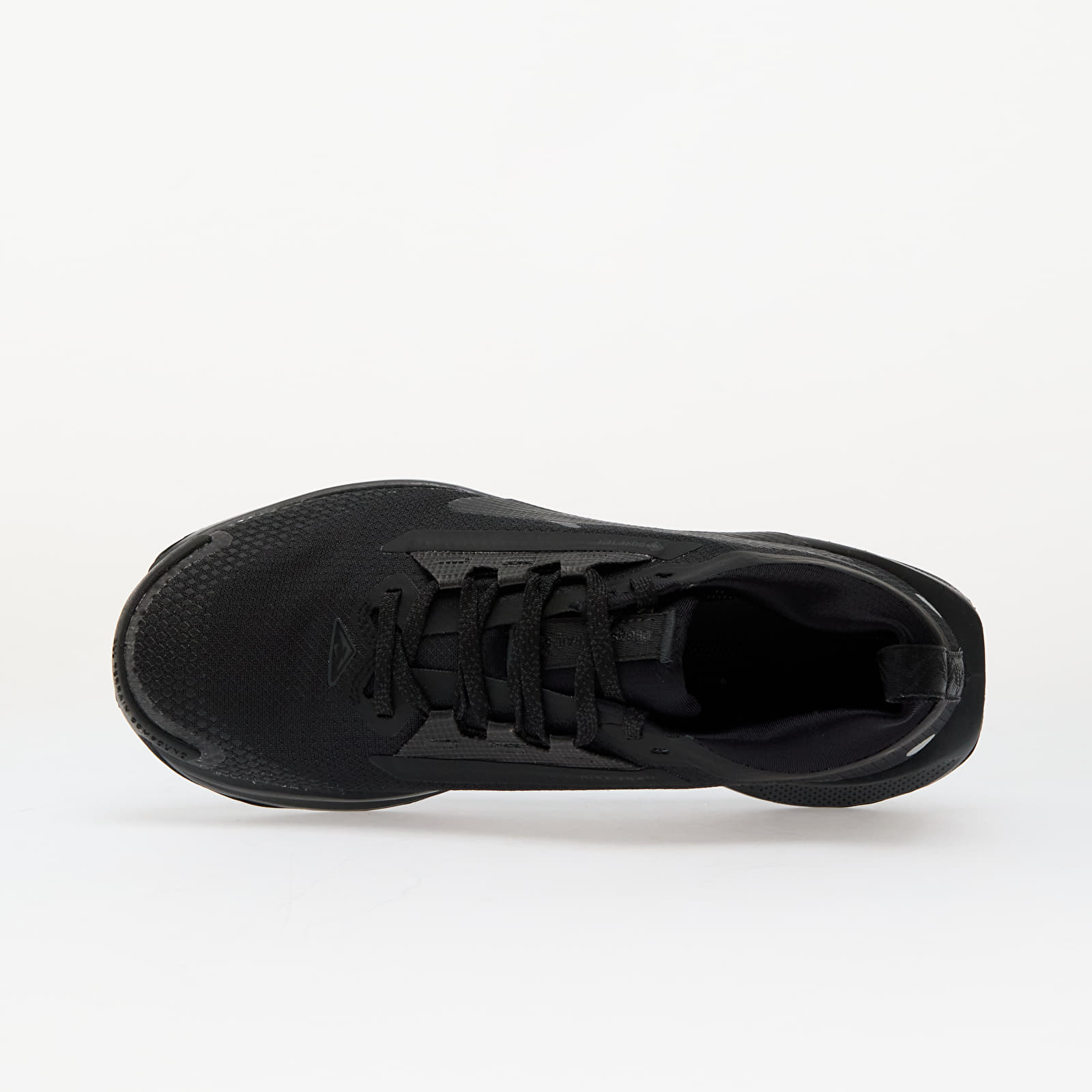 Women's shoes Nike W Pegasus Trail 5 Gore-Tex Black/ Black-Anthracite