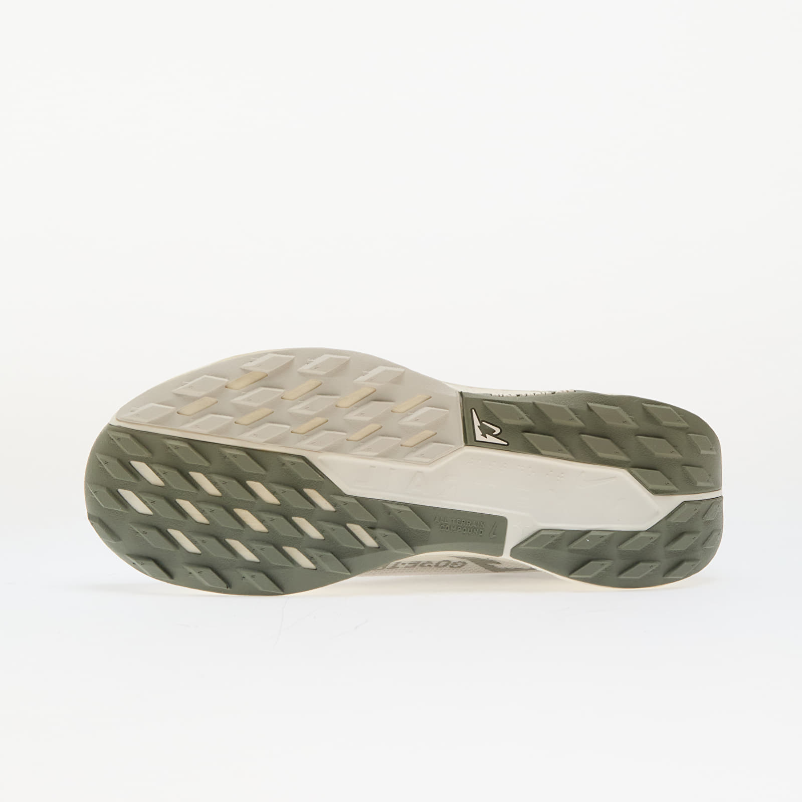 Meeste kingad Nike Pegasus Trail 5 Gore-Tex Light Bone/ Sail-Light Army