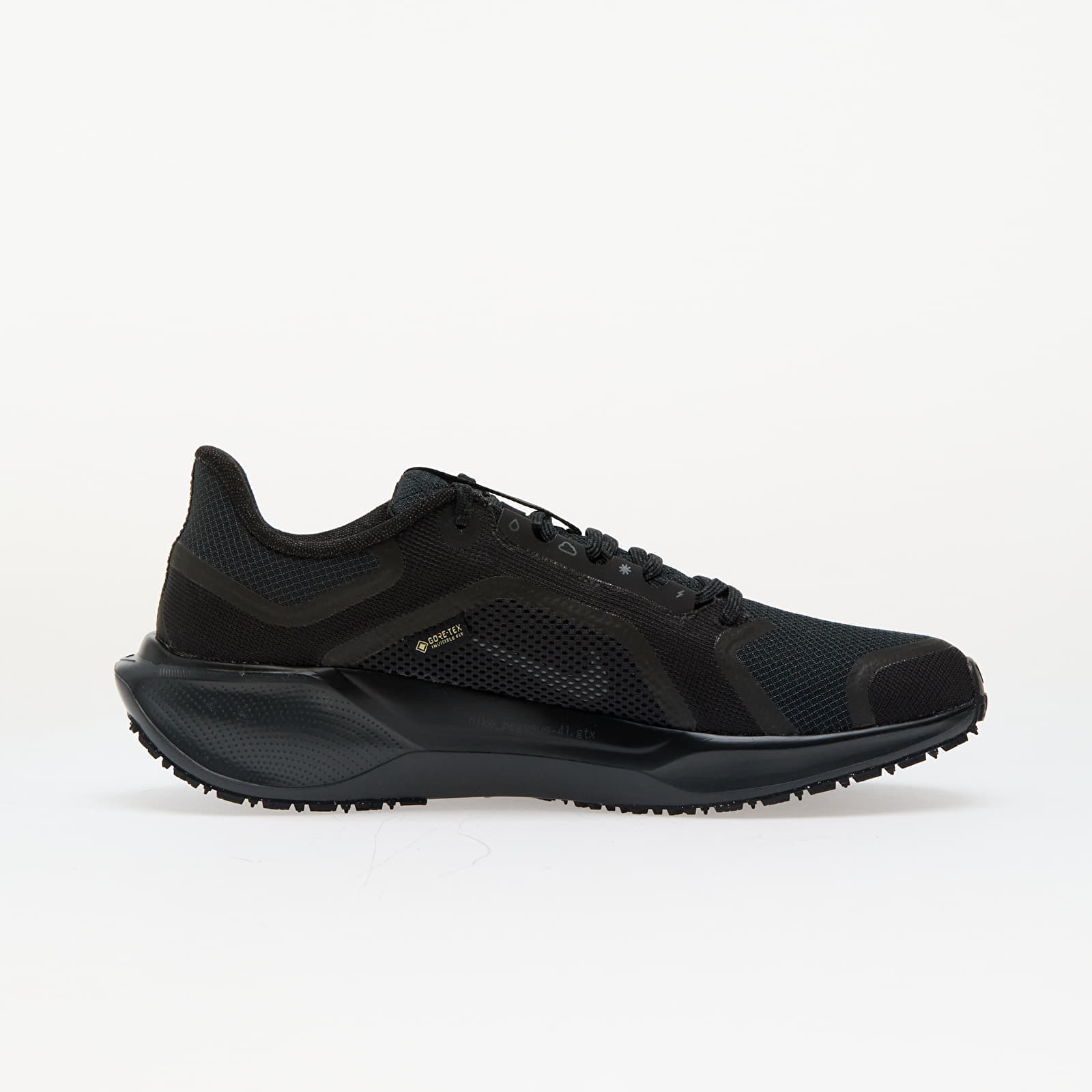 Damen Sneaker und Schuhe Nike W Pegasus 41 Gore-Tex Black/ Black-Anthracite