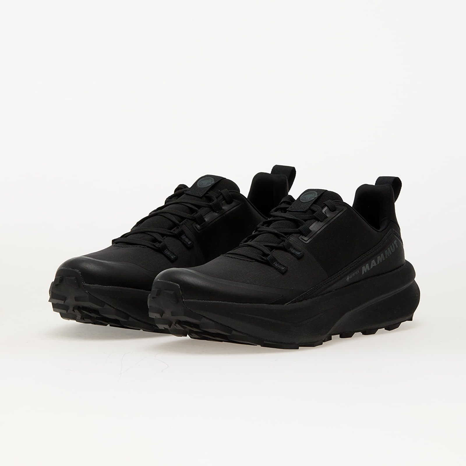 Skor för män Mammut Aenergy Hike Low GTX Men Black