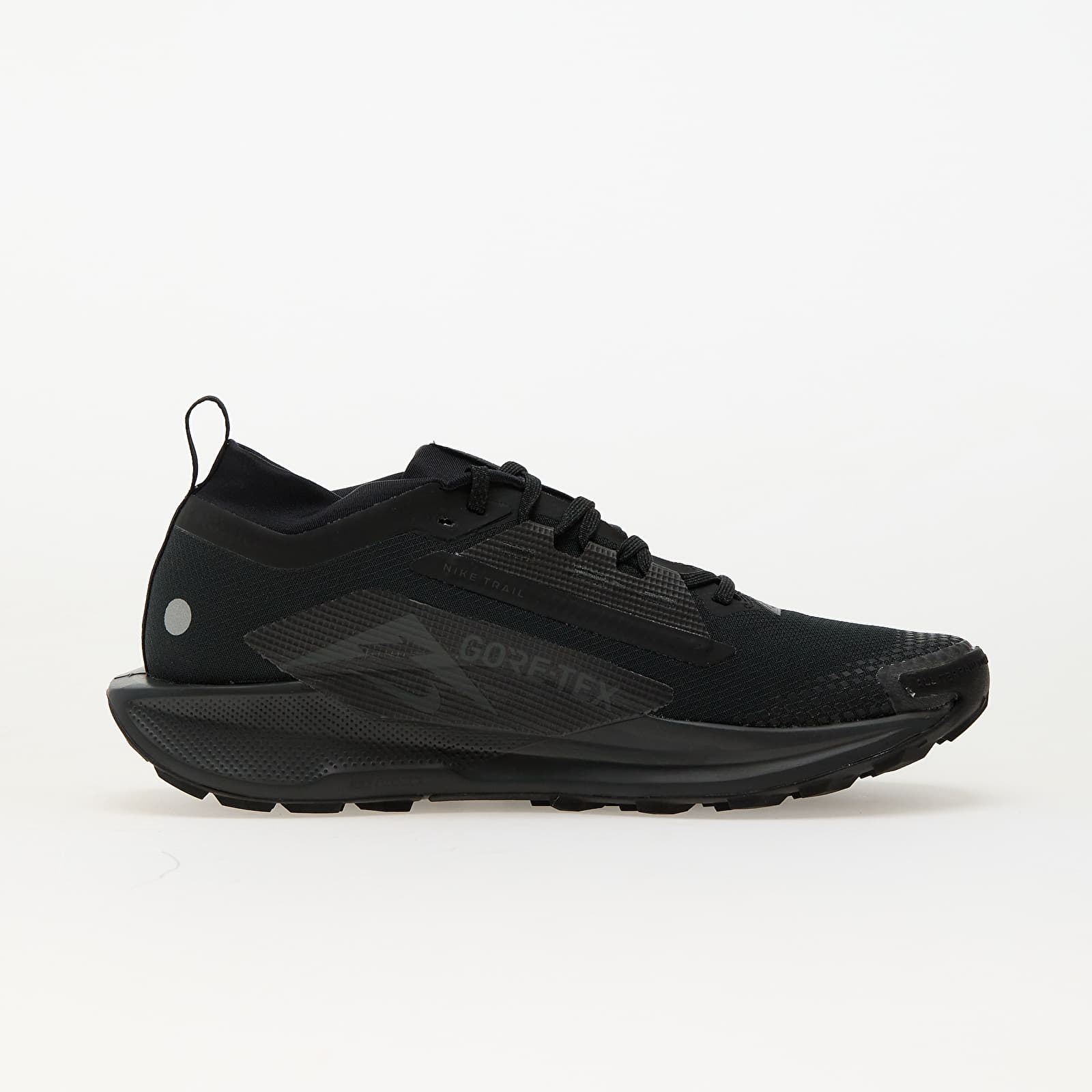 Meeste kingad Nike Pegasus Trail 5 Gore-Tex Black/ Black-Anthracite