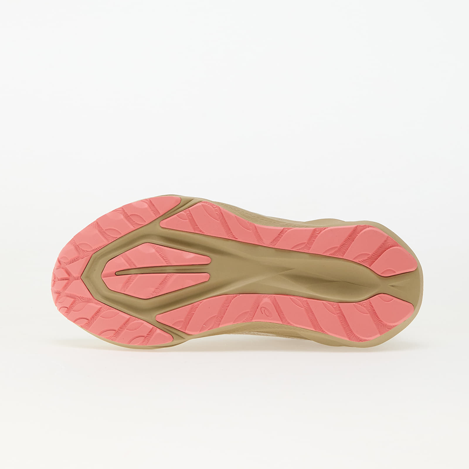 Naiste jalatsid Asics Novablast 5 Tr Nature Bathing/ Guava