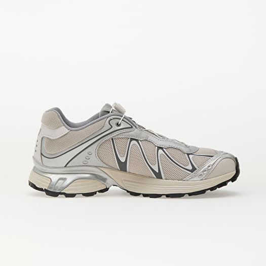 Чоловіче взуття Salomon XT-Whisper Ftw Silver/ LunRoc/ Slv Cl