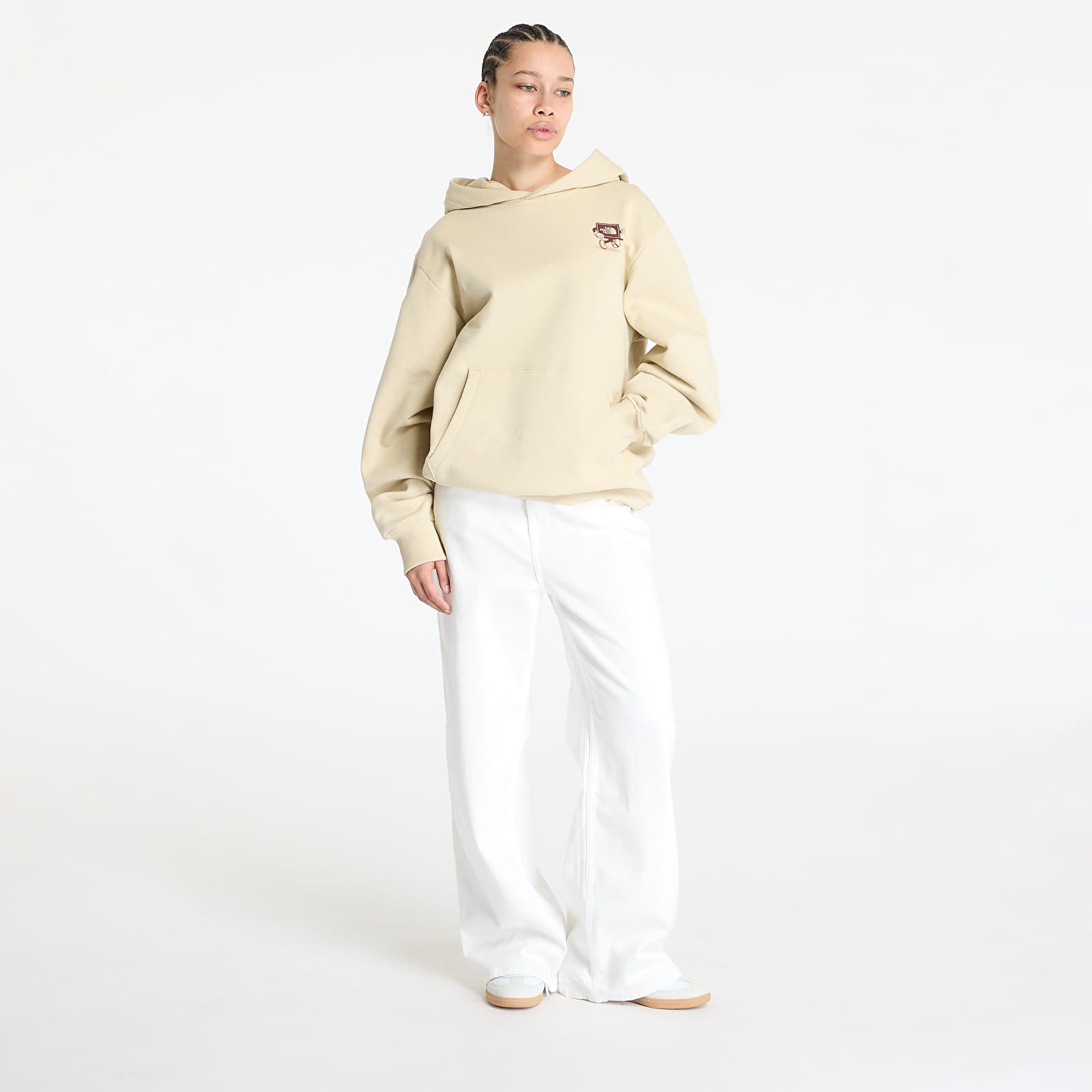 Kapuutsikud ja kampsunid The North Face Cartoon Logo Relaxed Hoodie UNISEX Gravel