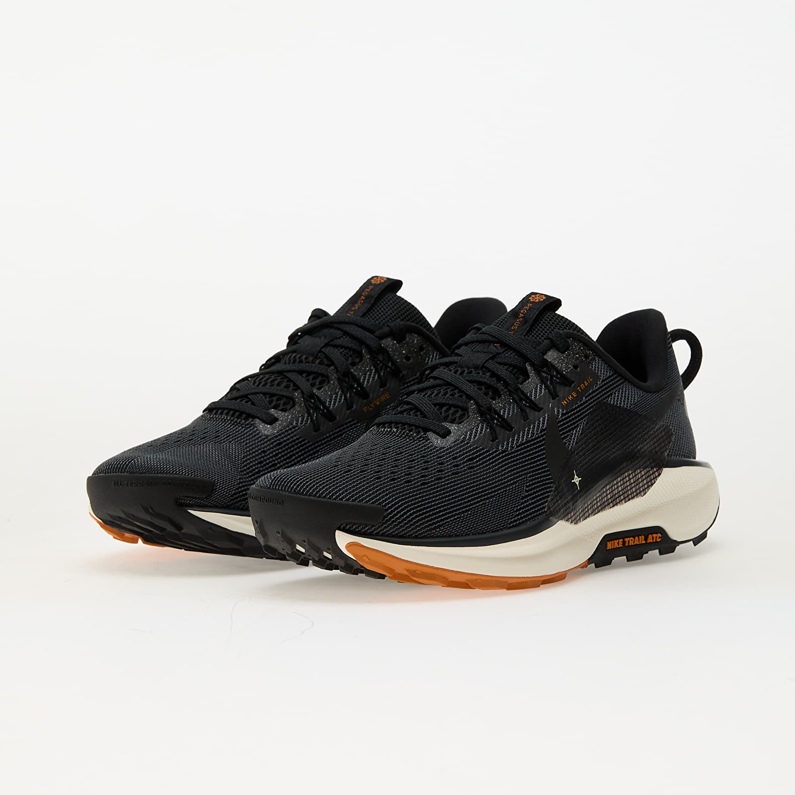 Men's shoes Nike Pegasus Trail 5 Black/ Off Noir-Monarch-Pale Ivory