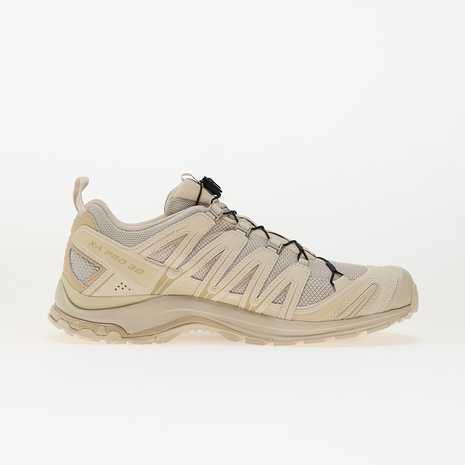 Men's shoes Salomon Xa Pro 3D Rainy Day/ Oxford/ Warmap
