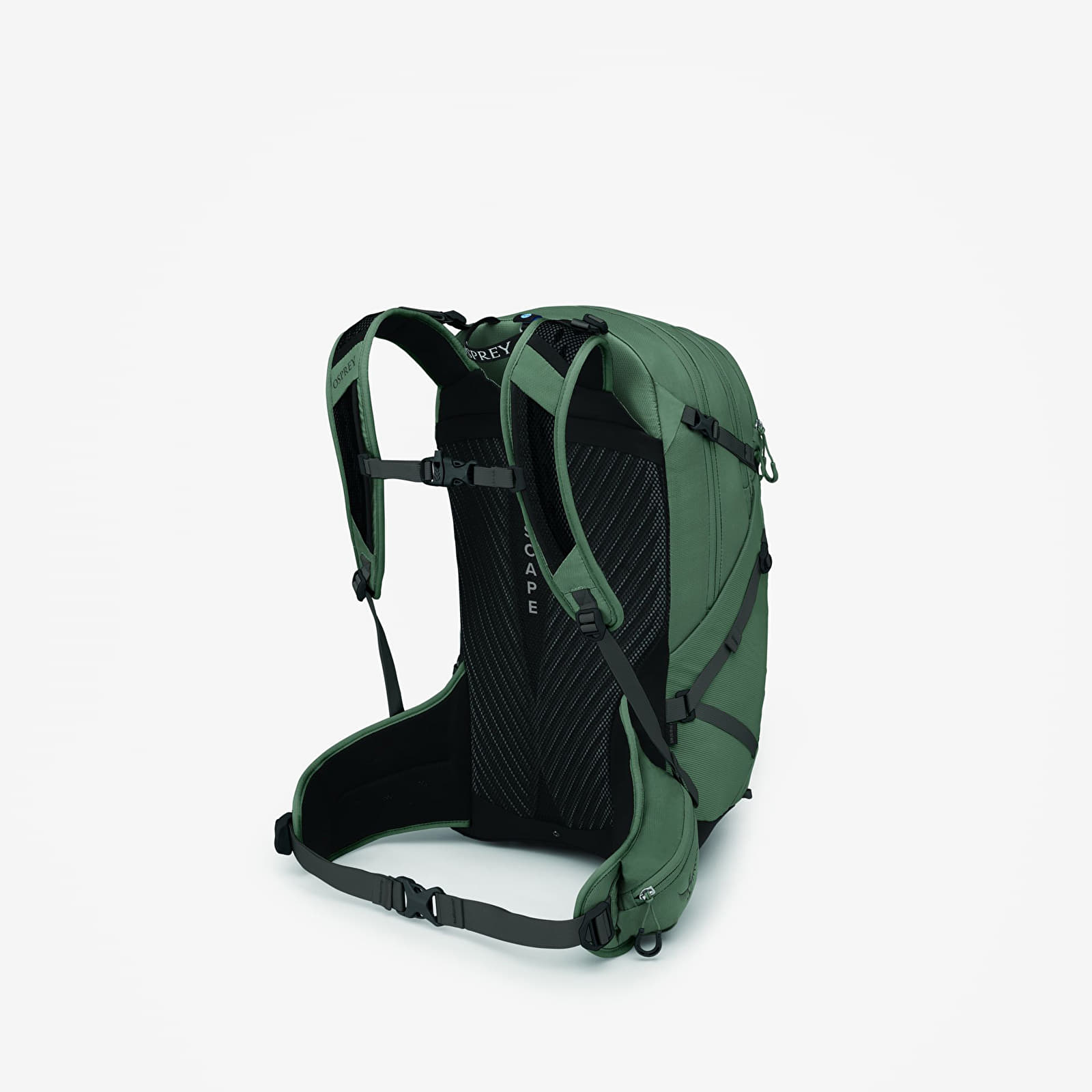 Herren Rucksäcke Osprey Sportlite 25 M/L Pine Leaf Green