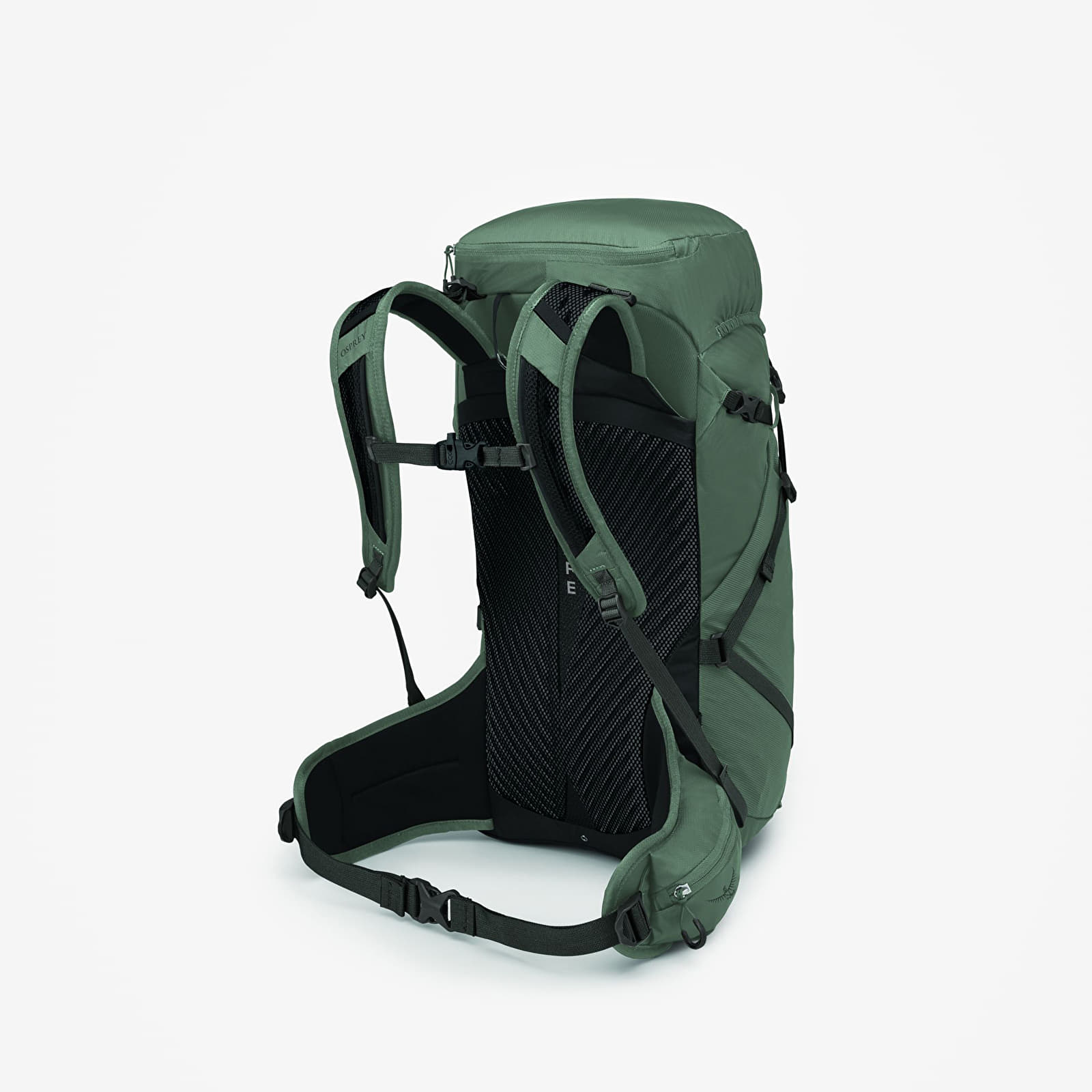 Herren Rucksäcke Osprey Sportlite 30 M/L Pine Leaf Green