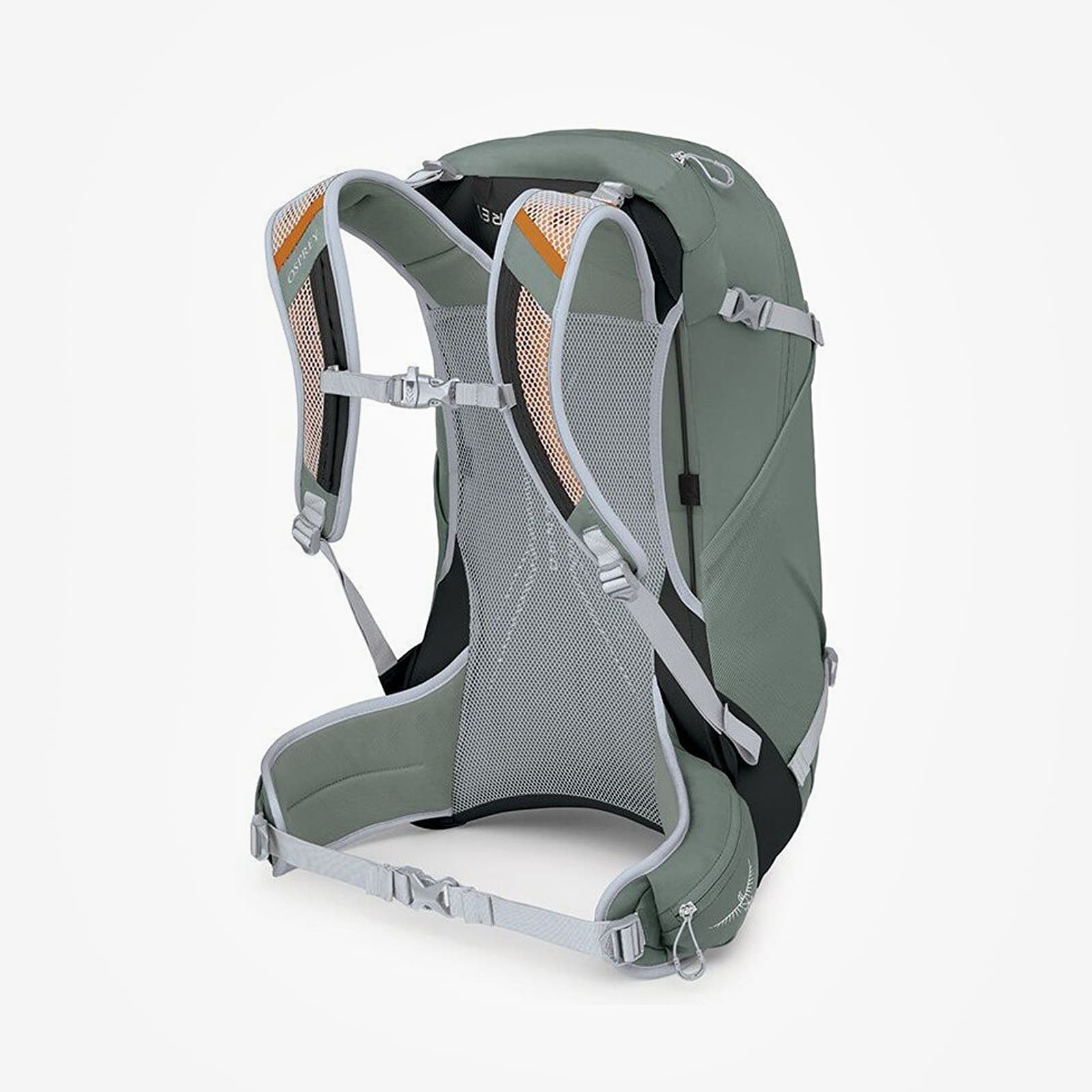 Herren Rucksäcke Osprey Hikelite 28 S/M Pine Leaf Green