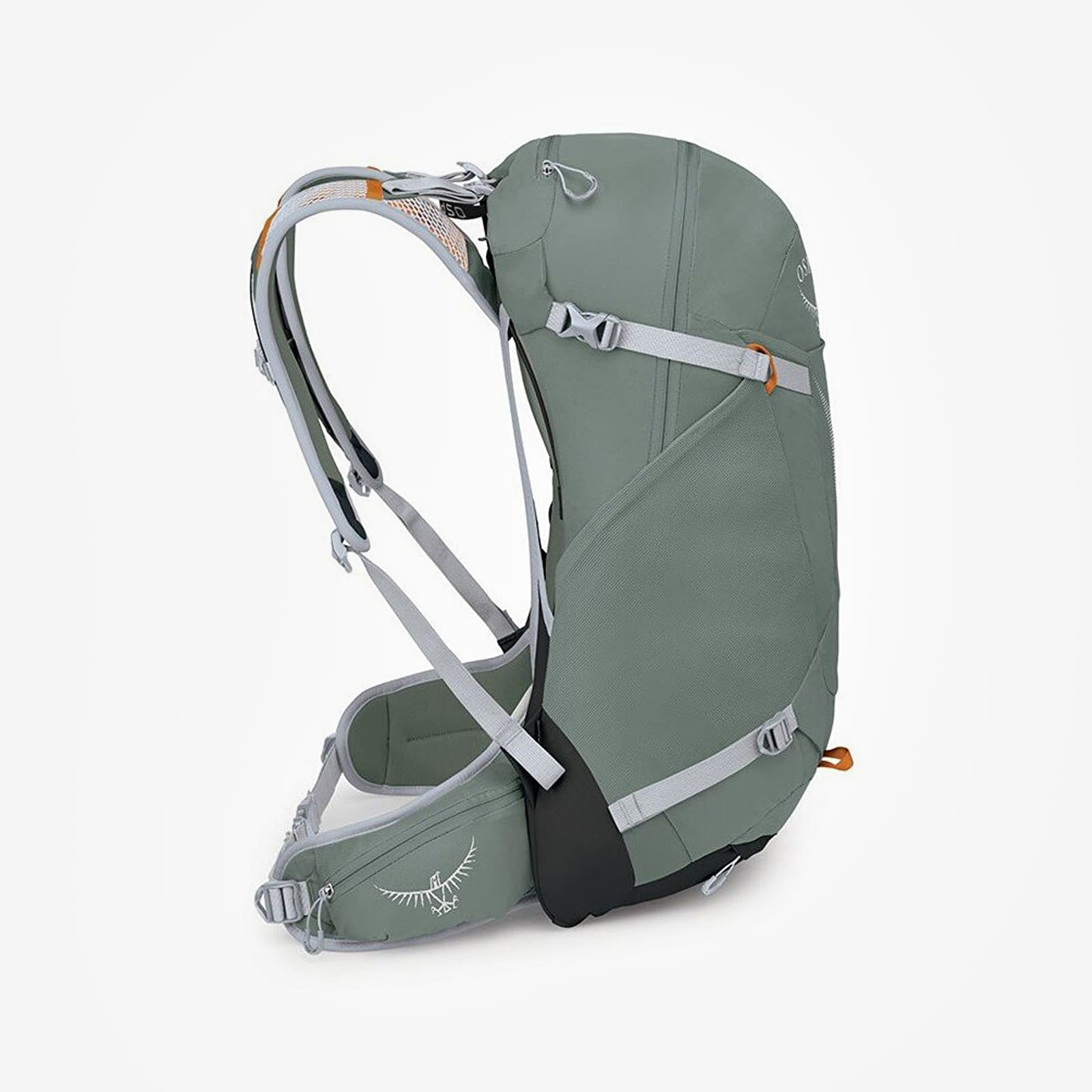 Herren Rucksäcke Osprey Hikelite 28 S/M Pine Leaf Green