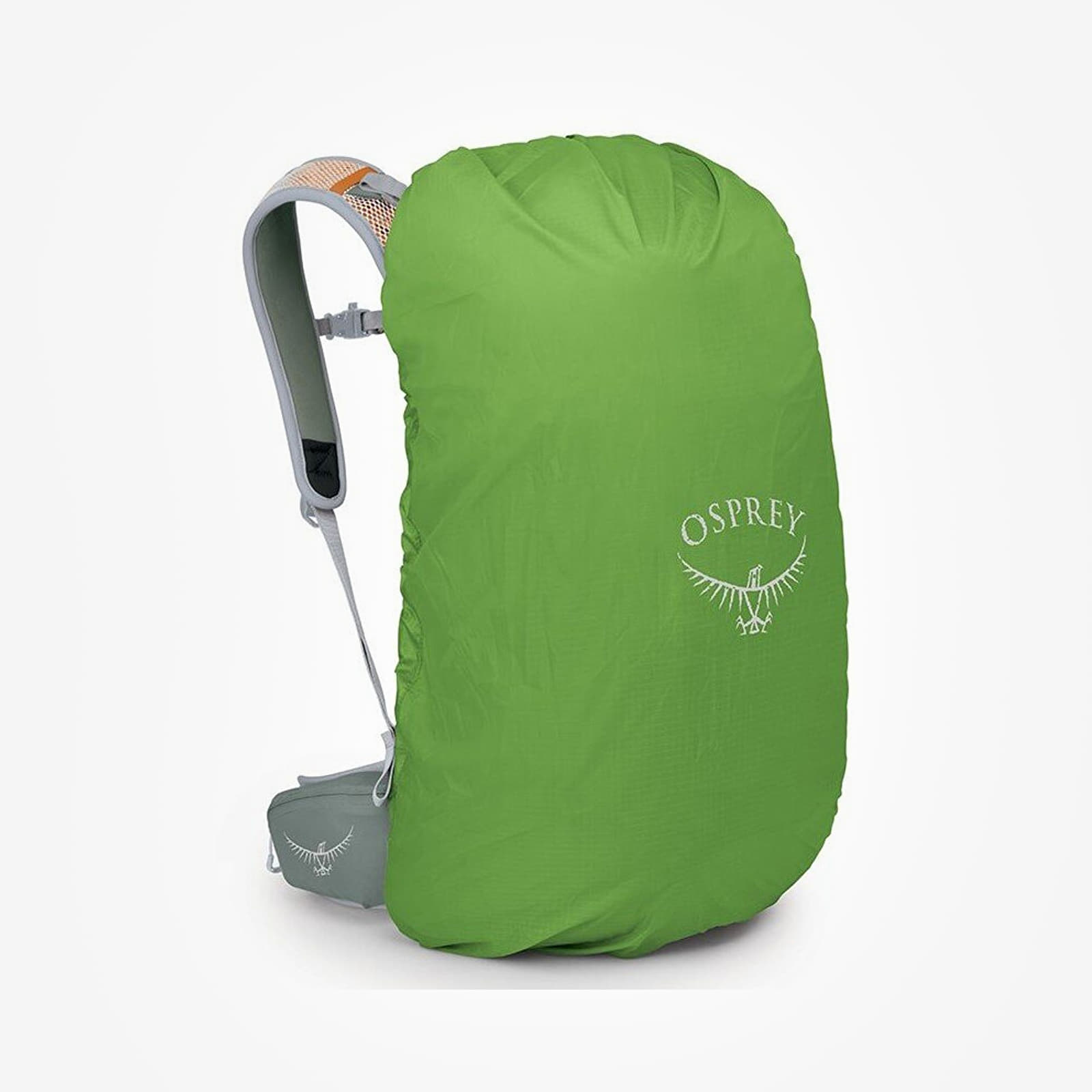 Herren Rucksäcke Osprey Hikelite 28 S/M Pine Leaf Green