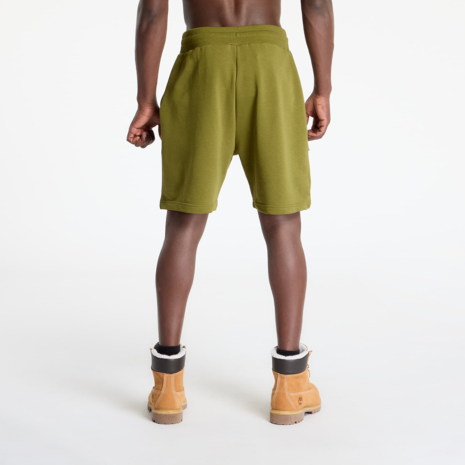 Shorts The North Face Terry Regular Short Forest Olive